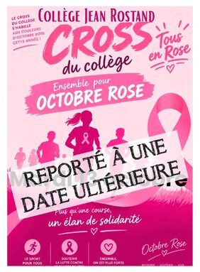 report cross_page-0001.jpg